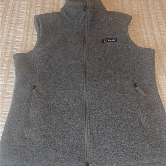 Patagonia Synchilla Vest - Picture 1 of 5